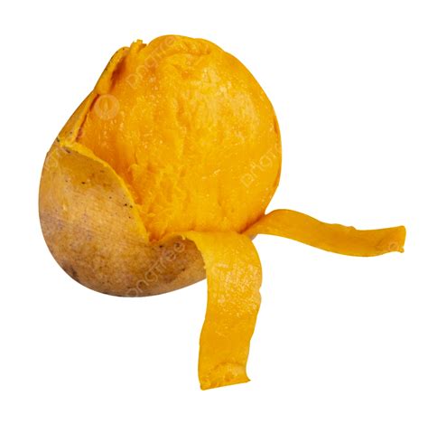 Fruit Fresh Mango Fruit Fresh Mango Png Transparent Image And