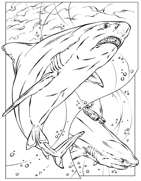 Free Free Shark Coloring Pages To Print, Download Free Free Shark Coloring Pages To Print png ...