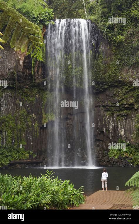 Atherton tableland waterfalls hi-res stock photography and images - Alamy