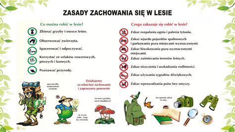 Zasady Zachowania Si W Lesie Projekty Zadania