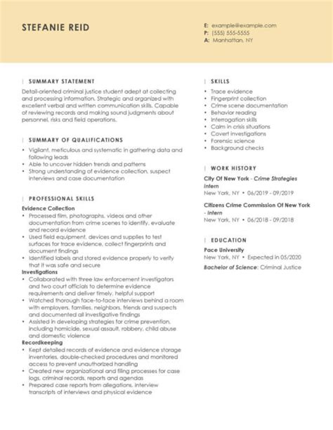 Professional Law Enforcement Resume Examples