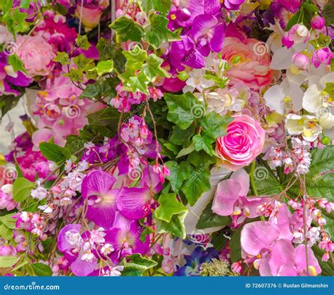 Mazzo Di Fiori Fotografia Stock Immagine Di Naughty 72607376