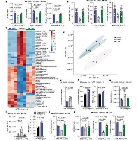 Nature多组学揭示靶向延胡索酸水合酶有望成为炎症性疾病治疗的新方向 知乎