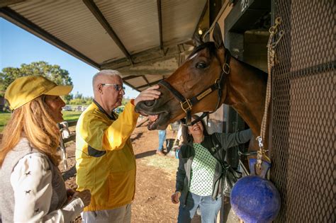 Latest News Donegal Racing