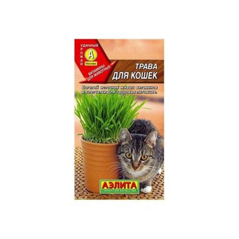 Котовник Агрофирма Аэлита Трава для кошек 20г - купить по выгодным ...