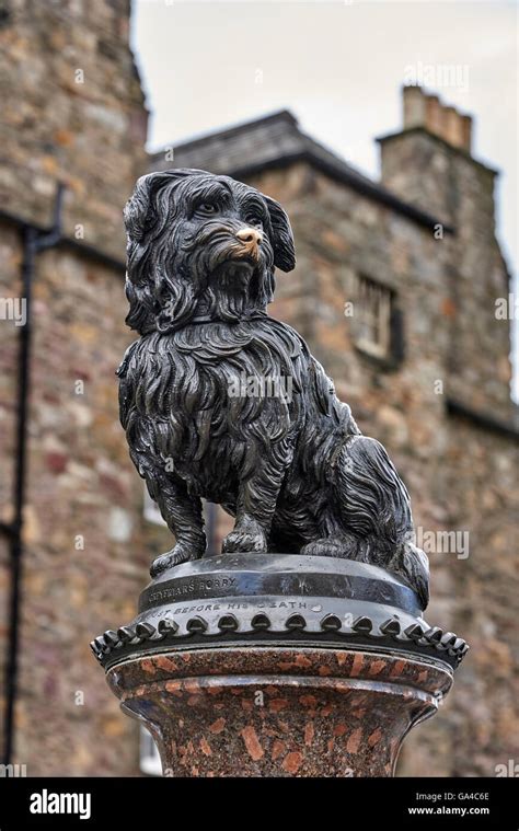 Greyfriars Bobby Was A Skye Terrier Who Supposedly Spent 14 Years