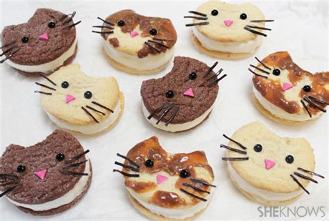 Kitty Cat Ice Cream Sandwich Faces