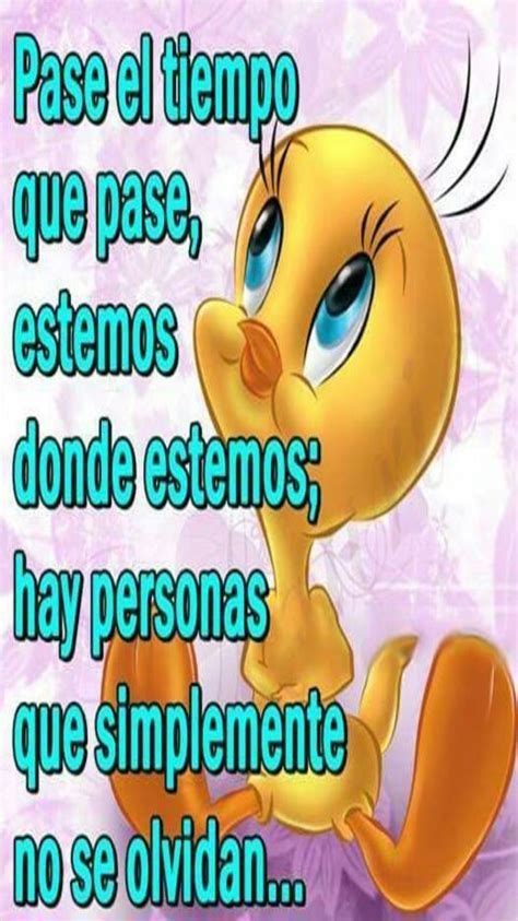 Top 10 Piolin Imagenes Ideas And Inspiration