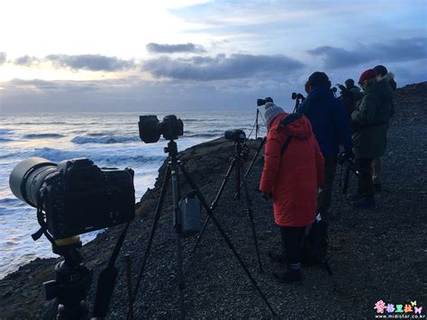 Iceland Ringroad Dyrh Laey Cliff