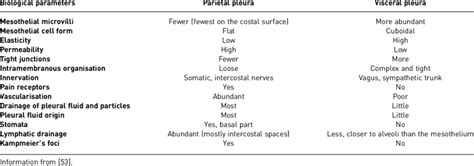 Structural and functional differences of the parietal and visceral ...