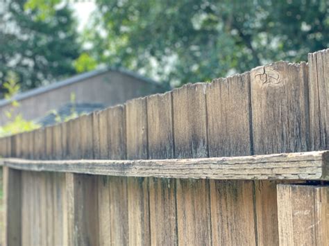 How to Make a Fence Top Trellis - The Handyman's Daughter