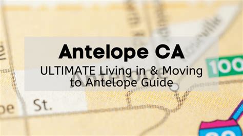 Antelope Ca Ultimate Living In Moving To Antelope Guide