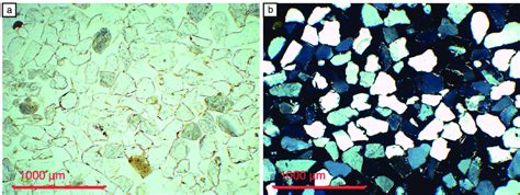 Microphotographs From PRO4 Taken Under Plane Polarized Light PPL And