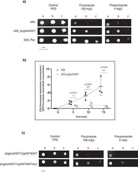 Cghxt Promotes Azole Susceptibility In C Glabrata Clinical