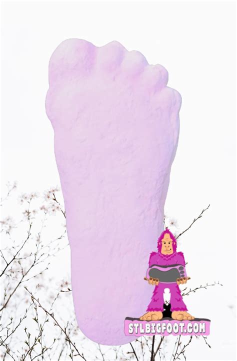 1967 Pink Bigfoot Patterson Patty Track Footprint Cast