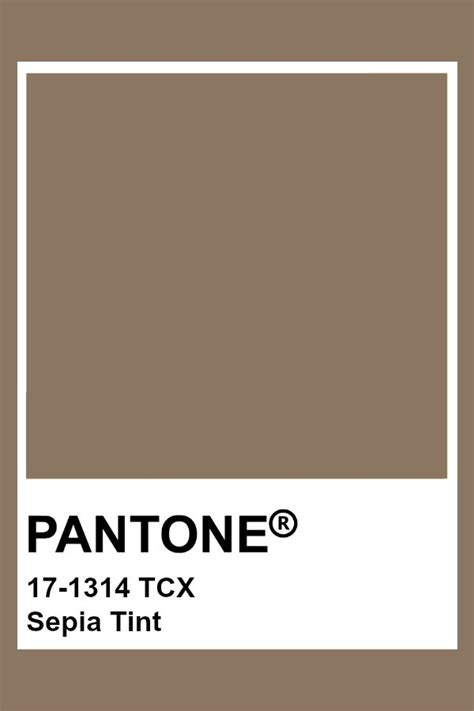 Pantone 17 1314 Tcx Sepia Tint Pantone Color Carta De Colores