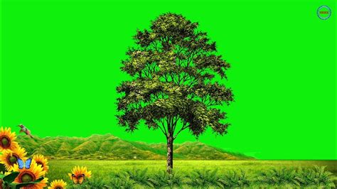 Tree Green Screen Tree Green Screen No Copyright Tree Green Screen Effect Kinemaster Youtube