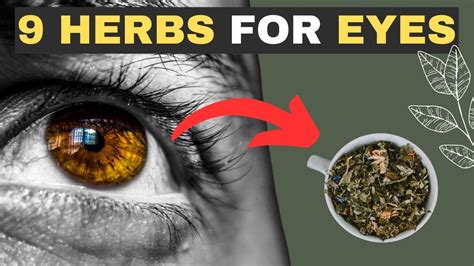 9 Herbs That Protect Eyes And Repair Diabetes