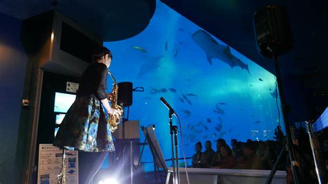 沖縄美ら海水族館で「美ら海ナイトアクアリウム」を開催 8月1日～9月1日まで夏休み限定で夜の水族館を満喫｜沖縄美ら海水族館のプレスリリース