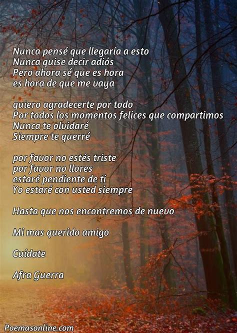 5 Mejores Poemas De Amor De Despedida Poemas Online NBKomputer