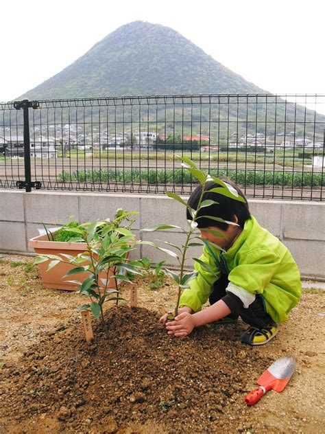 ＜鎮守の森project＞ 木を植えよう。未来のために 自然と寄り添う 株式会社 菅組