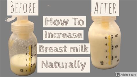 How To Increase Breast Milk Supply Naturallyfoods To Boost Mothers