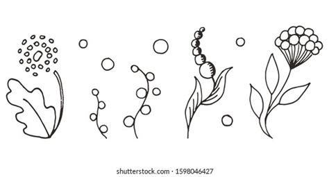 Set Ornamental Leaves Flowers Twigs Doodle Stock Vector Royalty Free