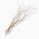 Dried Curly Willow Branches Set Of 12 West Elm