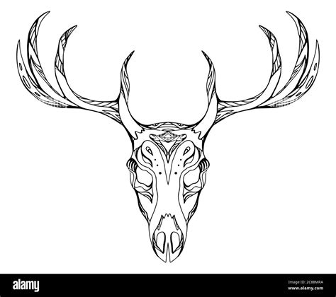 Whitetail Deer Skull Outline