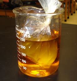 Diffusion Lab