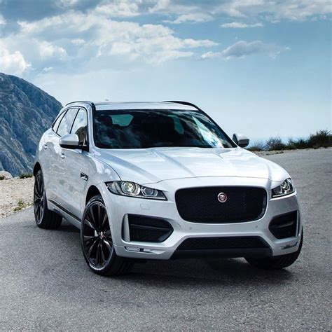 Where the wild things roam. #Jaguar #FPACE #Luxury #Performance #SUV # ...