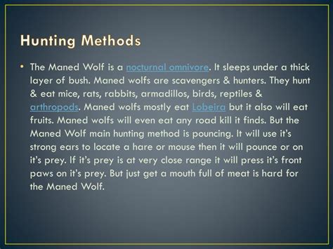 PPT - The Maned Wolf PowerPoint Presentation, free download - ID:2306641