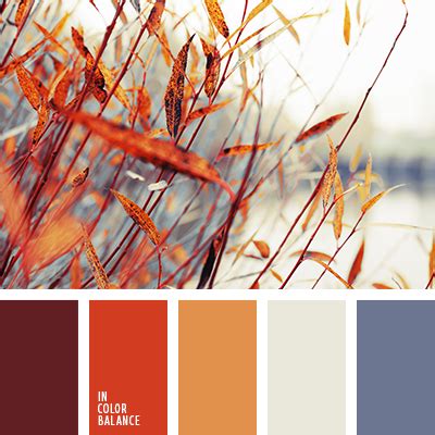морковный цвет | IN COLOR BALANCE