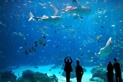 22 Atlanta Events & Happenings: August 2018