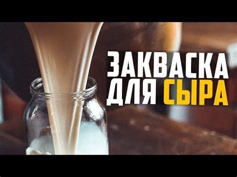 Закваска для сыра своими руками - YouTube | Закваски, Сыр, Домашний сыр