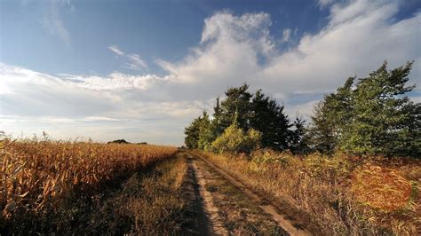 X Resolution Brown Grass Field Nature Landscape Hd