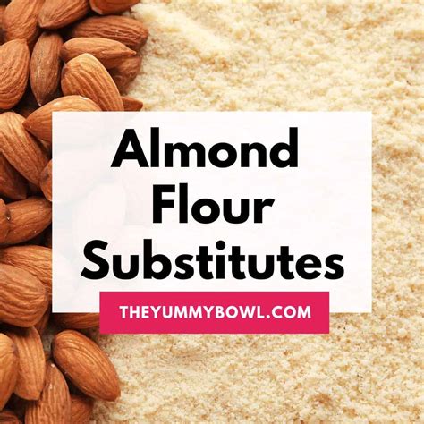 Almond Flour Substitutes 15 Best Alternatives Explained