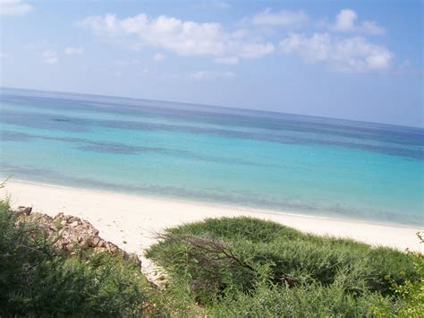 The Best Beach And Sea In The Somali Peninsula Somalinet Forums