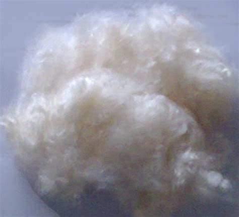 Kapok Fiber At Best Price In Erode Id 396166 A K Exportz