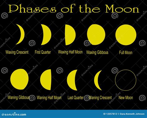 Phases De La Lune Illustration Stock Illustration Du Collage 12057813