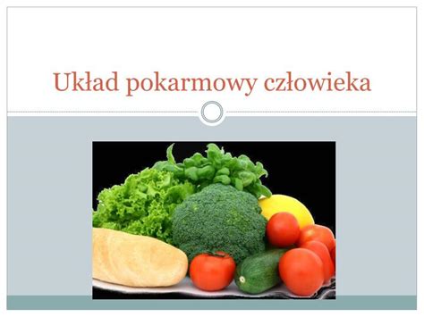 Ppt Uk Ad Pokarmowy Cz Owieka Powerpoint Presentation Id