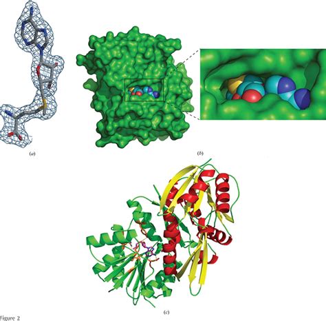 Figure 2 From Crystal Structure Of Sam Dependent Methyltransferase From