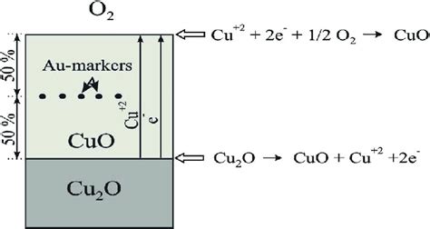 Schematic representation of the growth mechanism of CuO on the surface ...