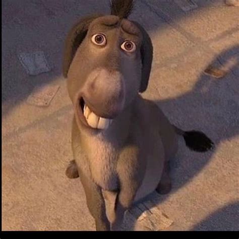 Shrek Sad Face