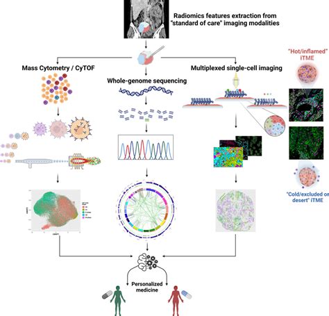 Multimodal Biomarkerspersonalized Medicine For Women With HGSOC A