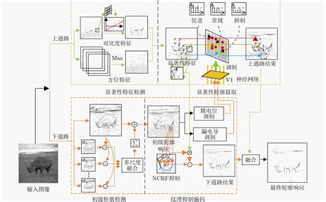 A Contour Detection Method Based On Interactive Perception Mechanism Of