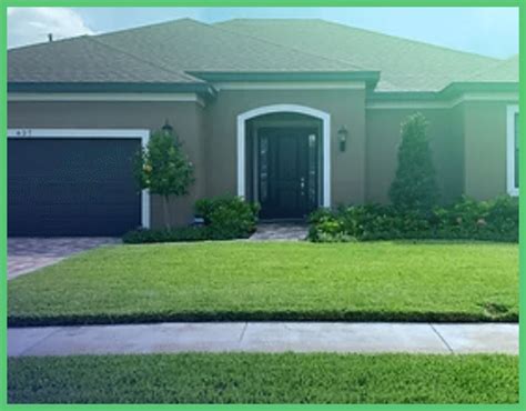 Lawn Treatment In Palm Harbor Bug Master Pest Control