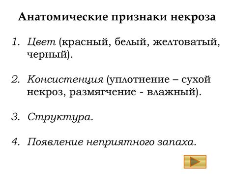 Некроз. Апоптоз. Обучающая программа - презентация онлайн