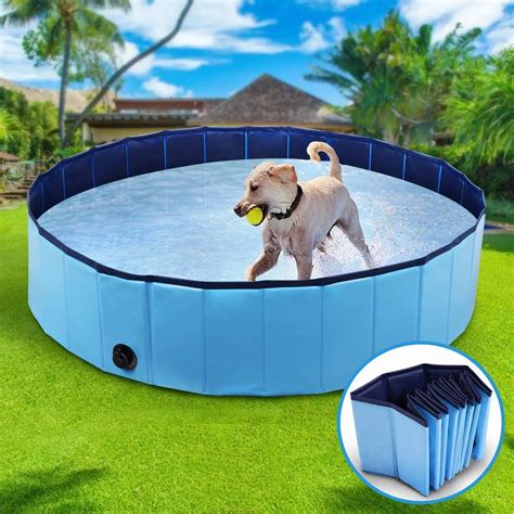 Piscina Dobr Vel Para Animais De Estima O Banho Para Pets Banheira