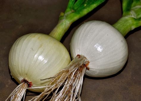Mister Meatball: Onions and eggs